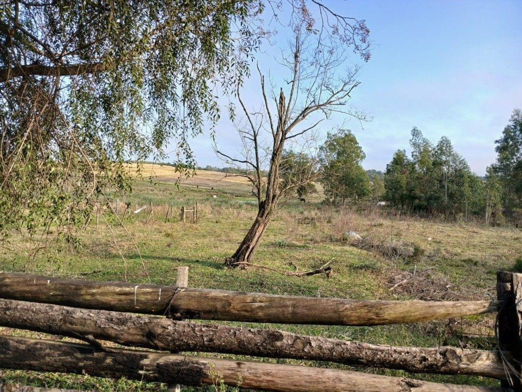 Chácara, 5 quartos, 2 hectares - Foto 13