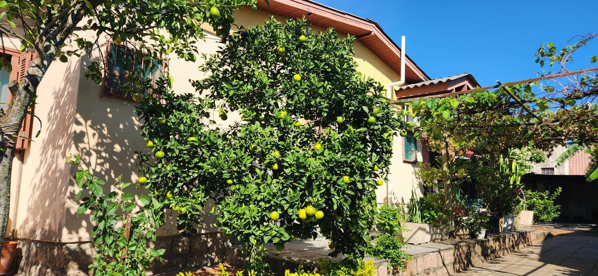 Casa, 3 quartos, 156 m² - Foto 24