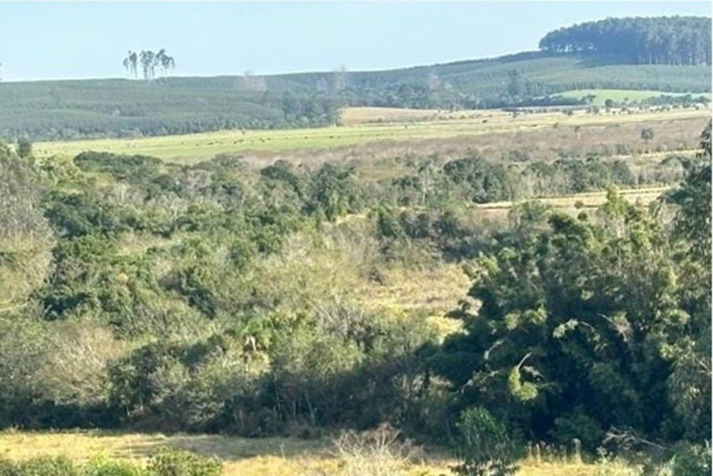 Fazenda no bairro Centro