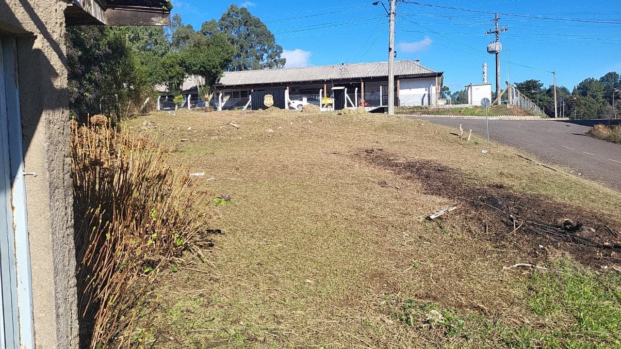 Terreno, à venda, Britadeira - São Francisco de Paula — foto 2