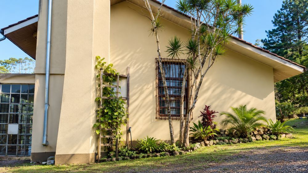 Sítio, 3 quartos, 4499 m² - Foto 13