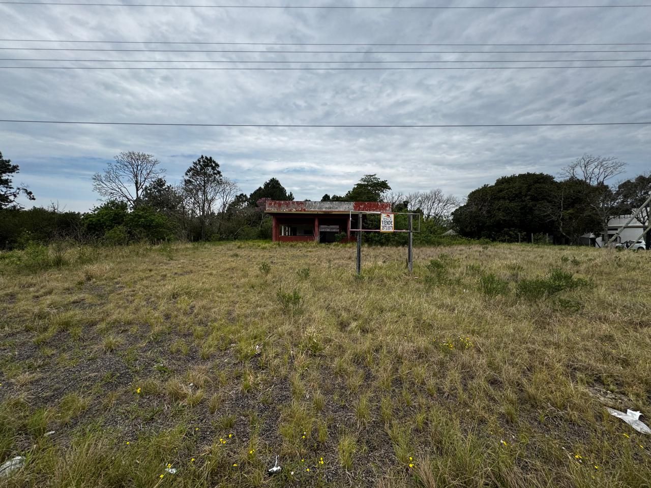 Terreno, 10000 m² - Foto 2