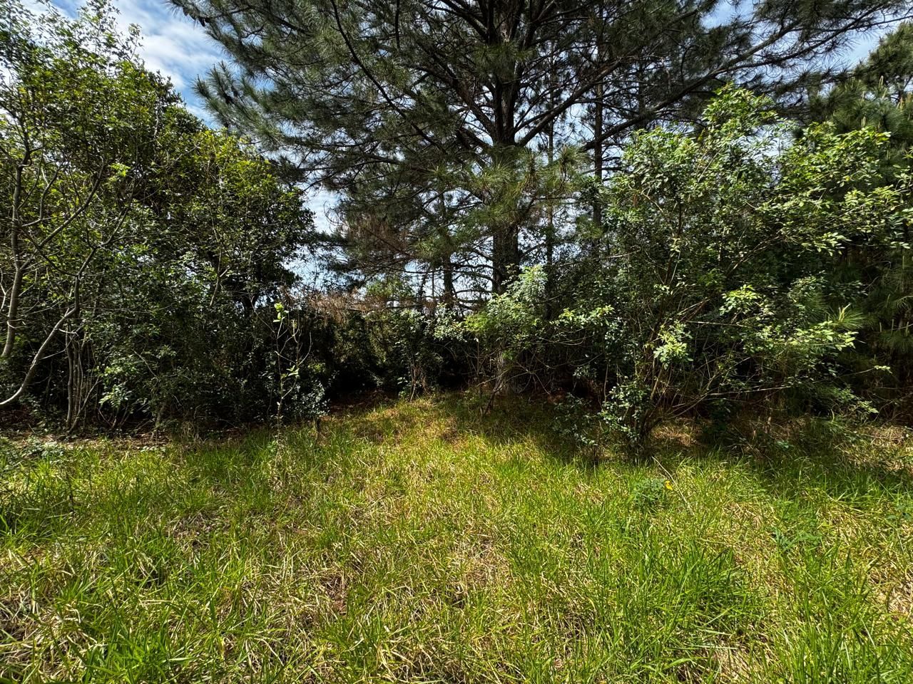 Terreno, 10000 m² - Foto 16