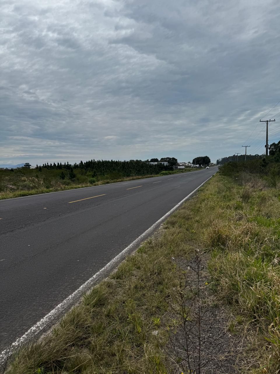 Terreno, 10000 m² - Foto 3