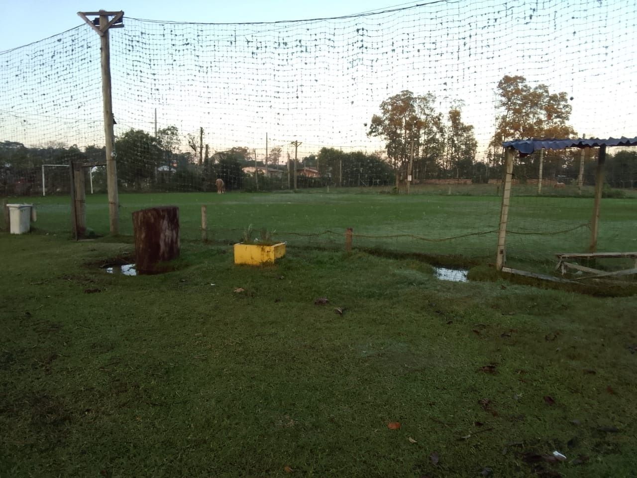 Sítio à venda com 5 quartos, 1500m² - Foto 10