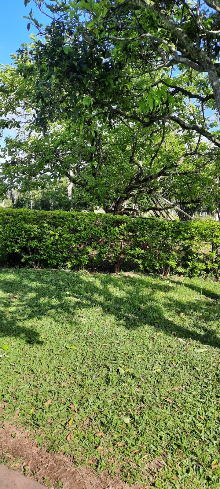 Sítio à venda com 3 quartos, 520m² - Foto 12