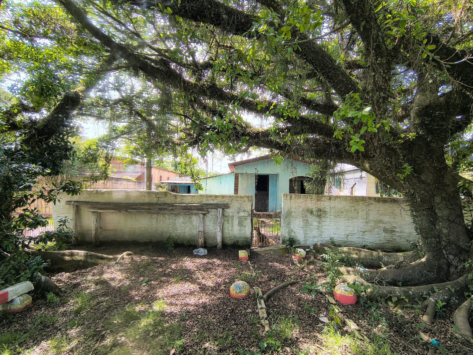 Terreno no Bairro Ponta Grossa