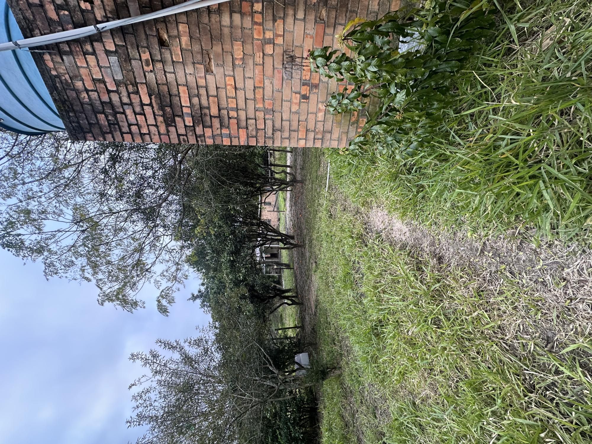 Chácara à venda com 2 quartos, 69m² - Foto 6