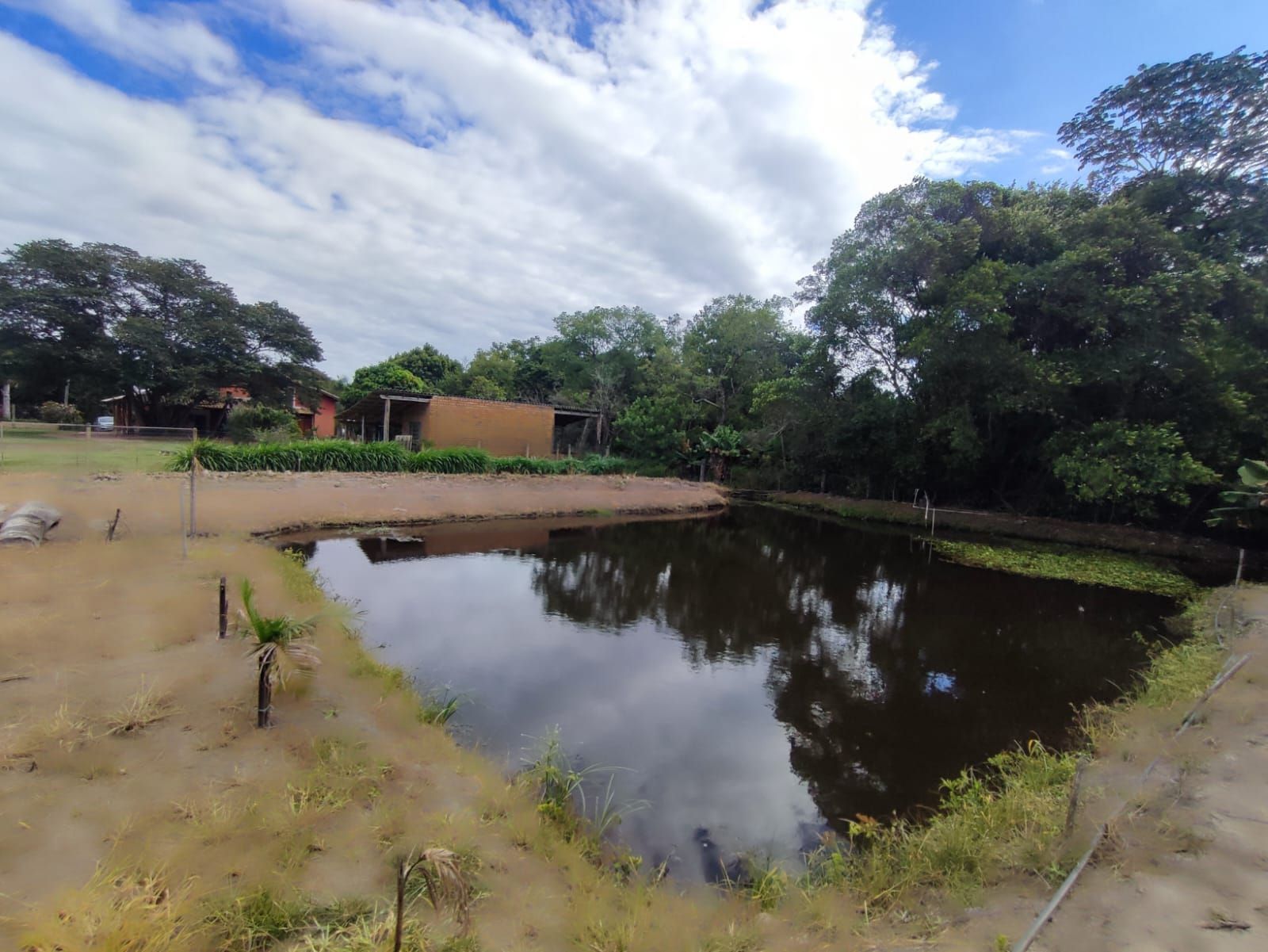 Sítio à venda com 3 quartos, 213m² - Foto 28