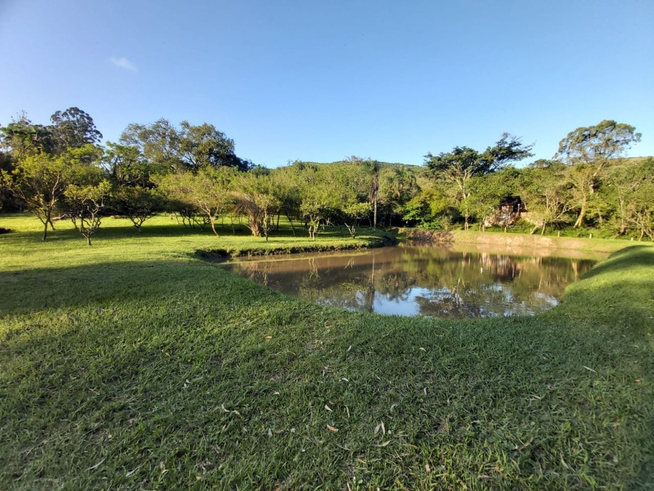 Terreno, 6 m² - Foto 5