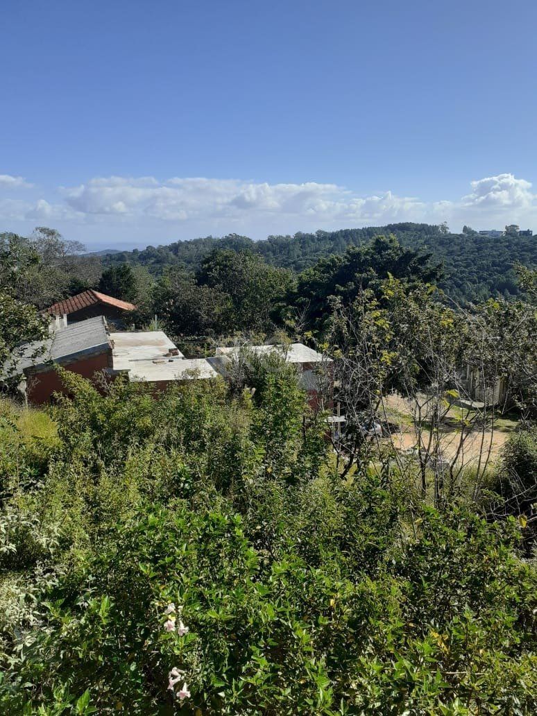 Casa, 5 quartos, 300 m² - Foto 12