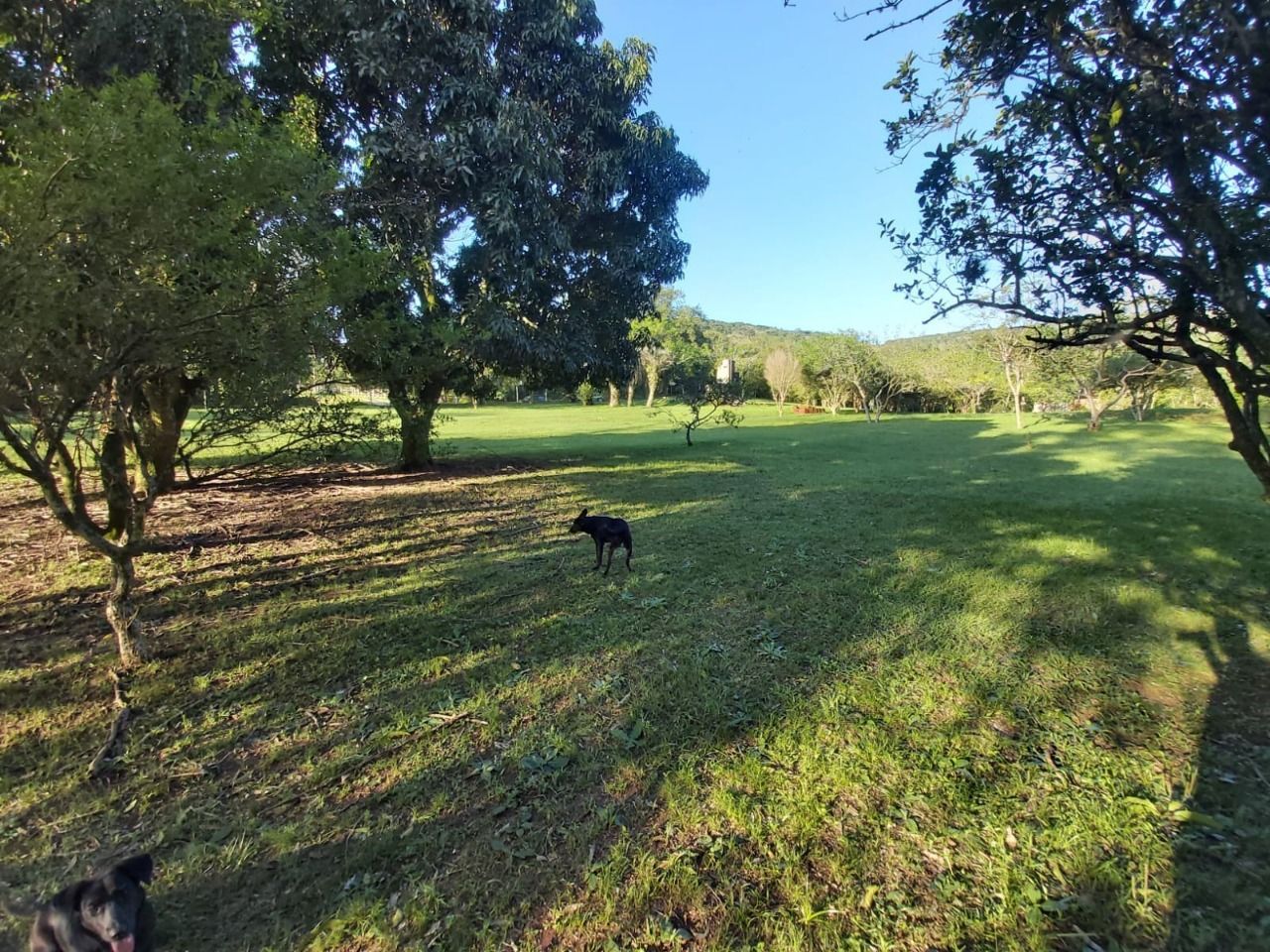 Terreno, 6 m² - Foto 10