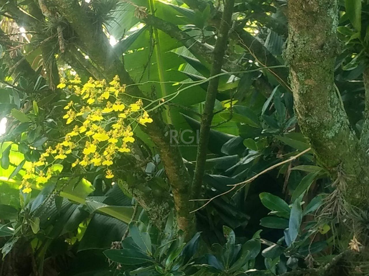 Terreno à venda, 1m² - Foto 8