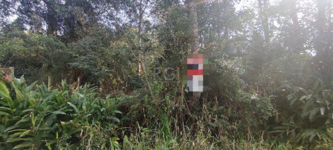 Terreno, 3 m² - Foto 4