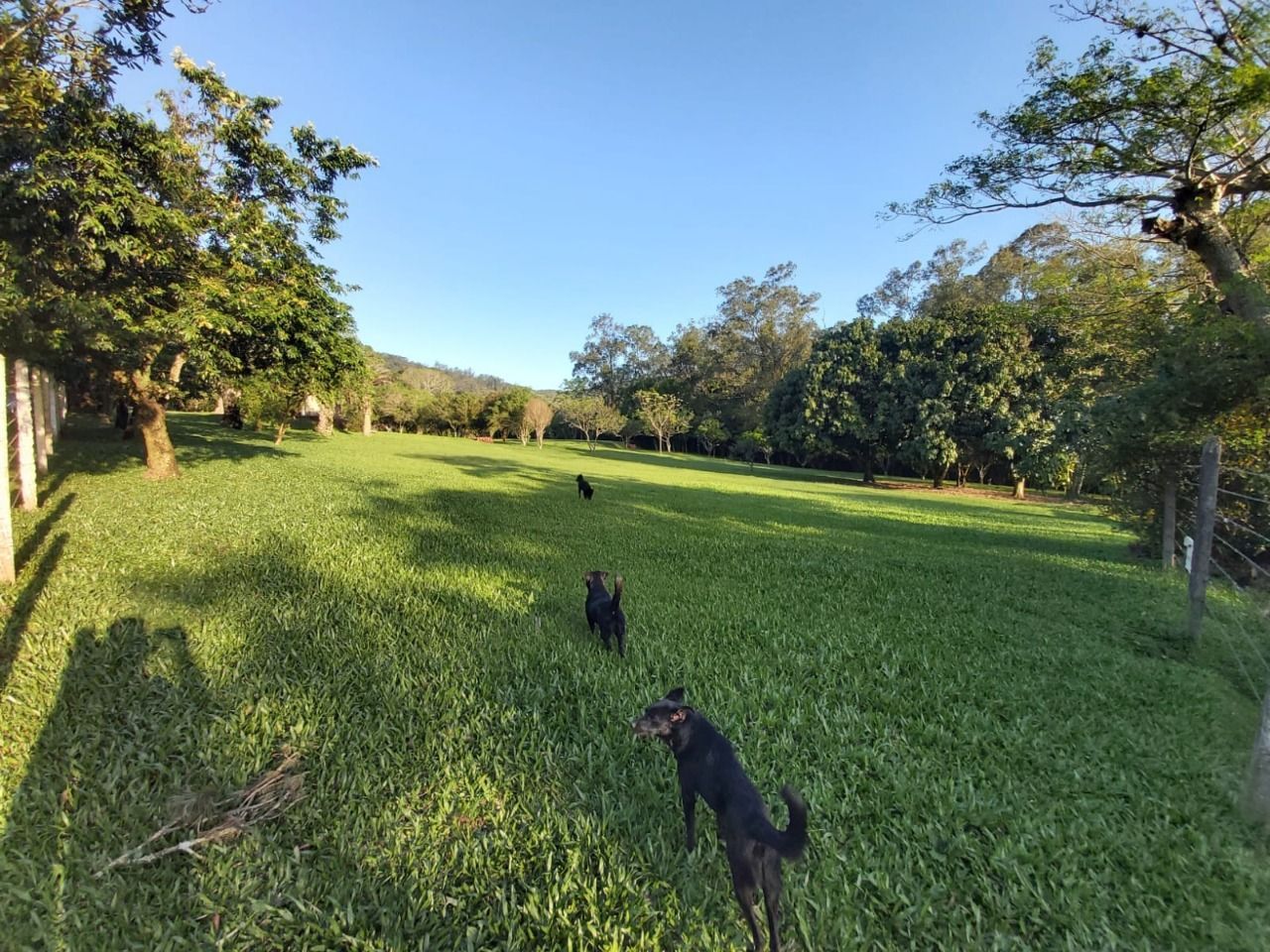 Terreno, 6 m² - Foto 6