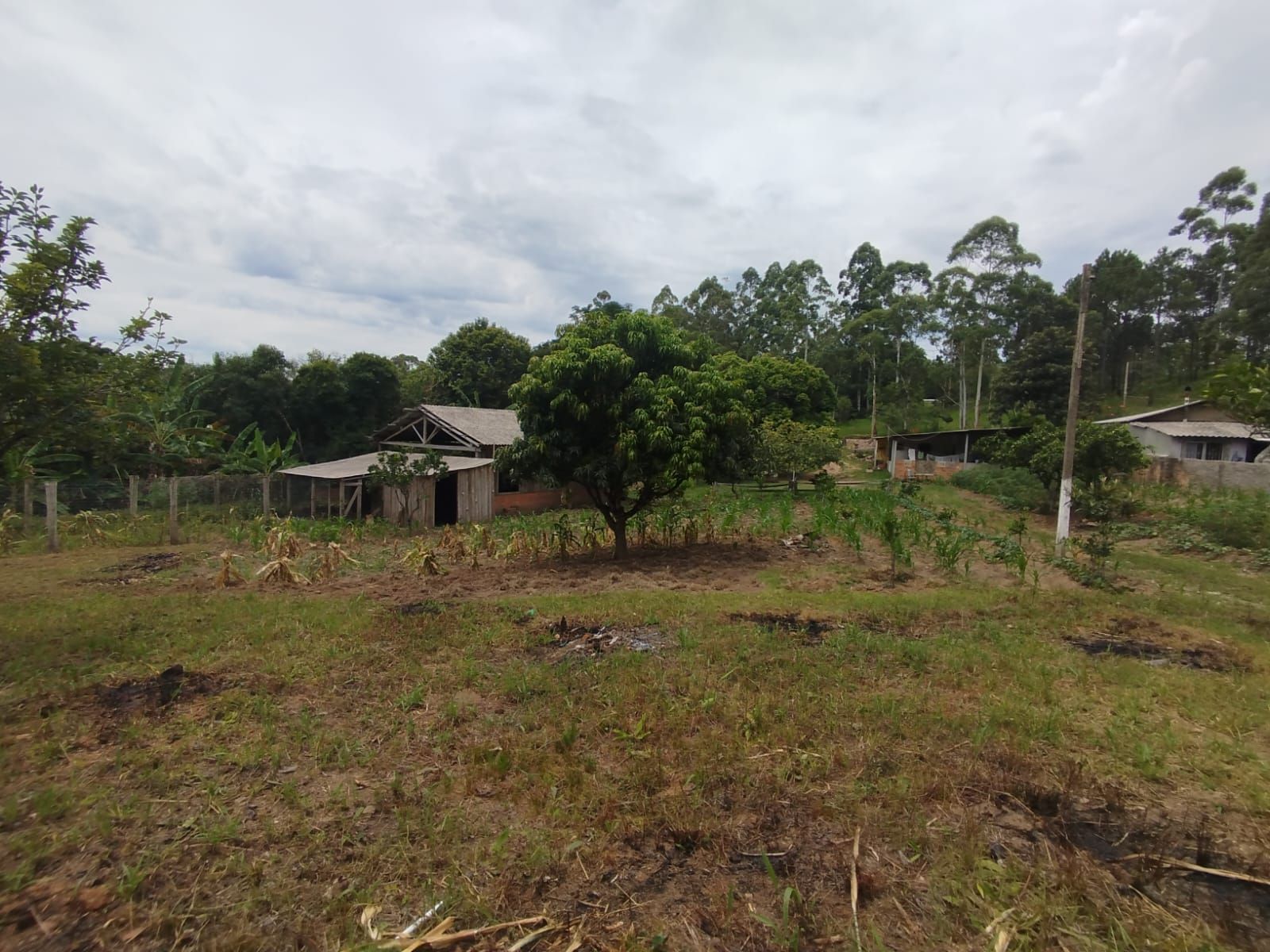 Fazenda à venda com 3 quartos - Foto 11