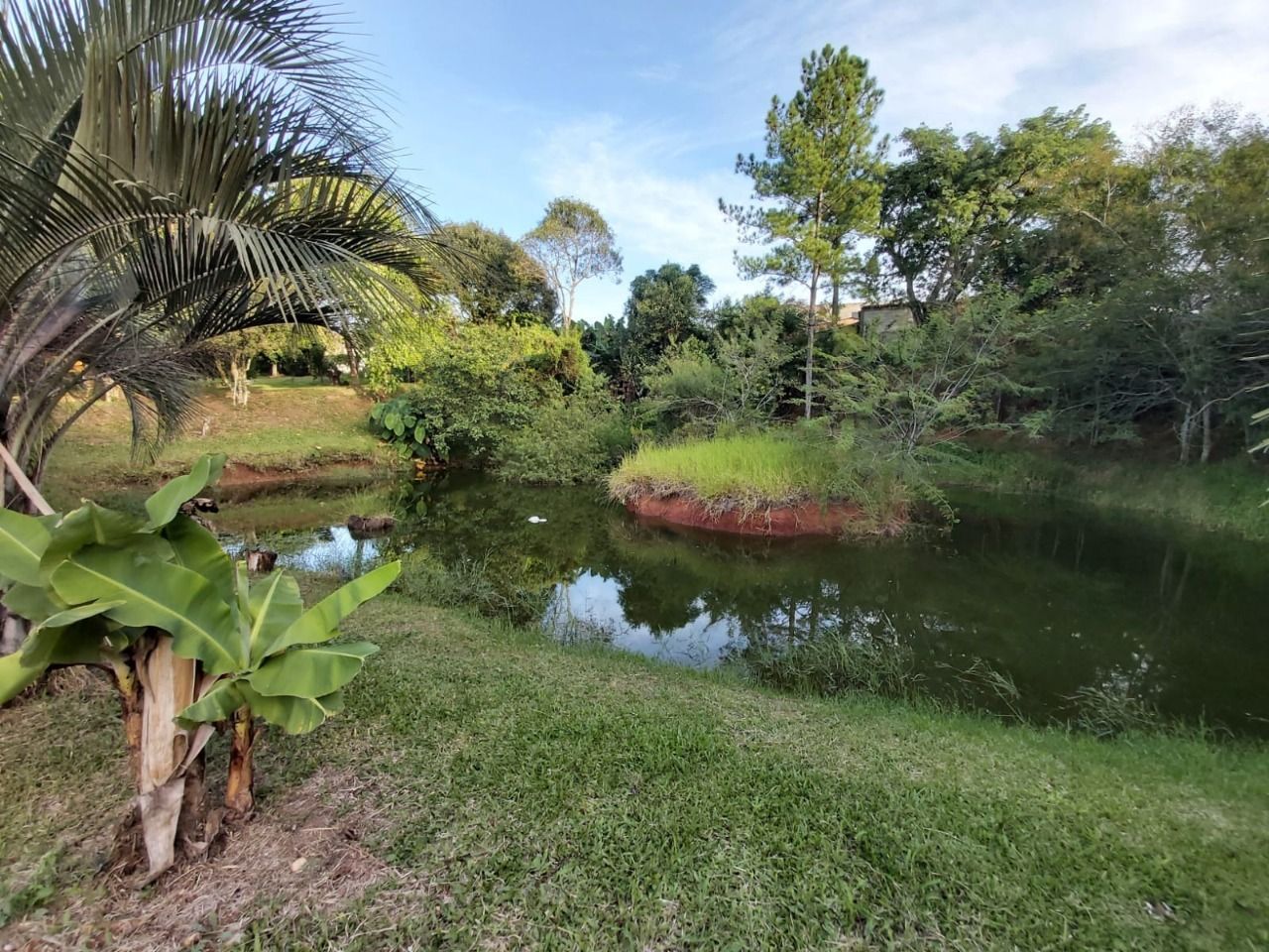 Sítio à venda com 2 quartos, 7846m² - Foto 6