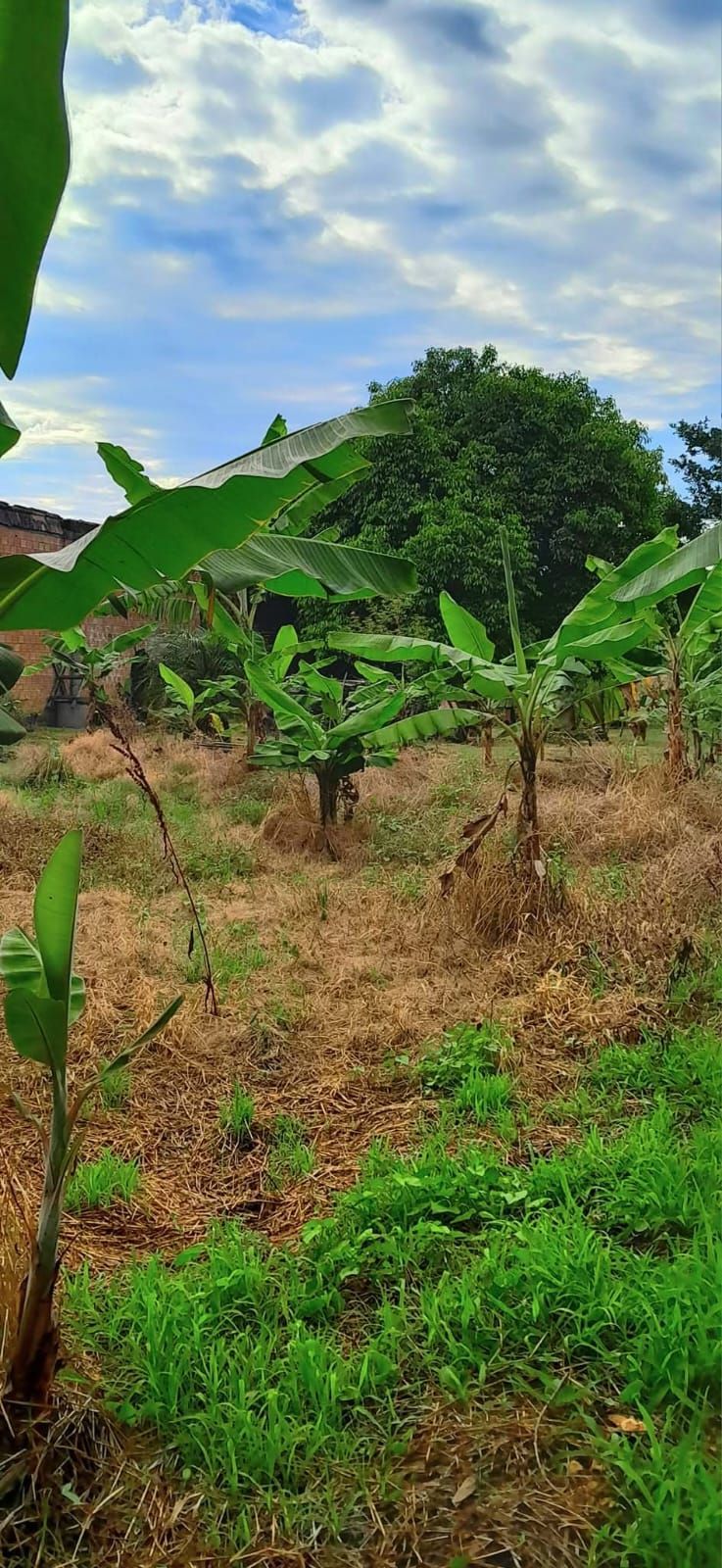 Terreno, 1499 m² - Foto 9