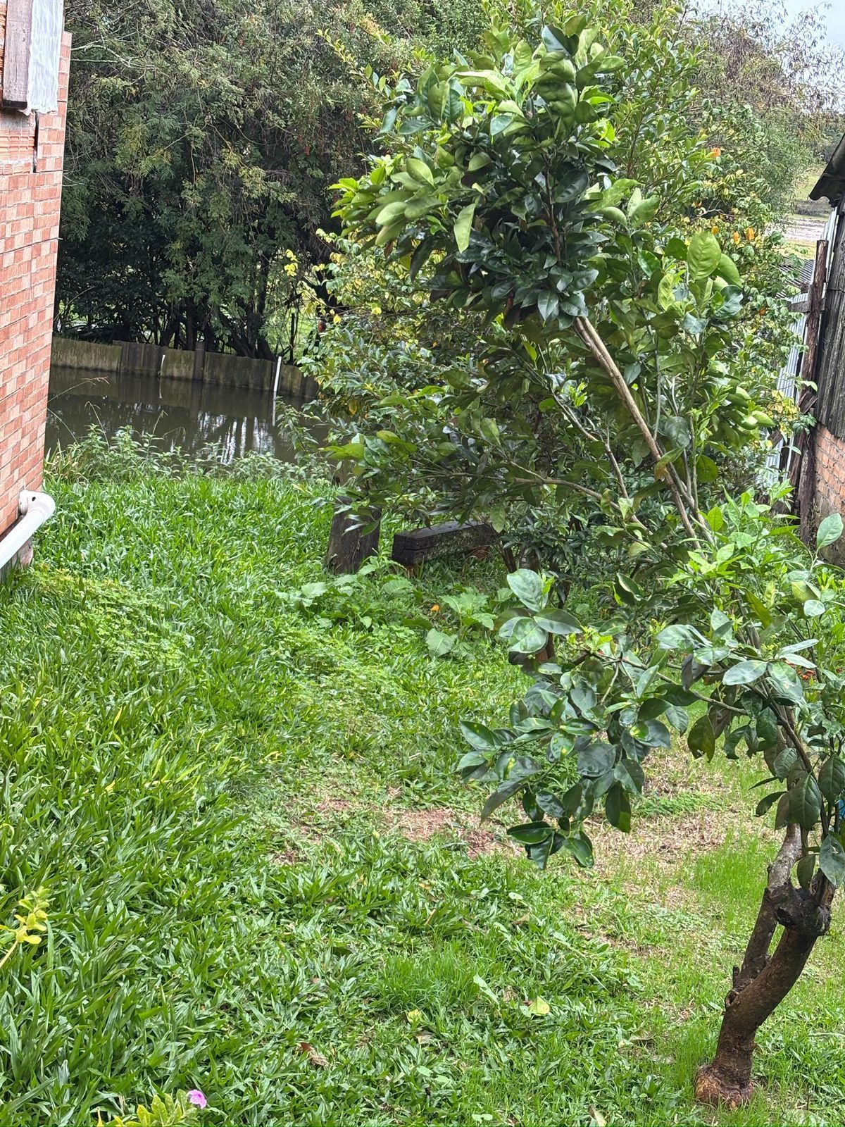 Sítio à venda com 4 quartos, 69m² - Foto 22