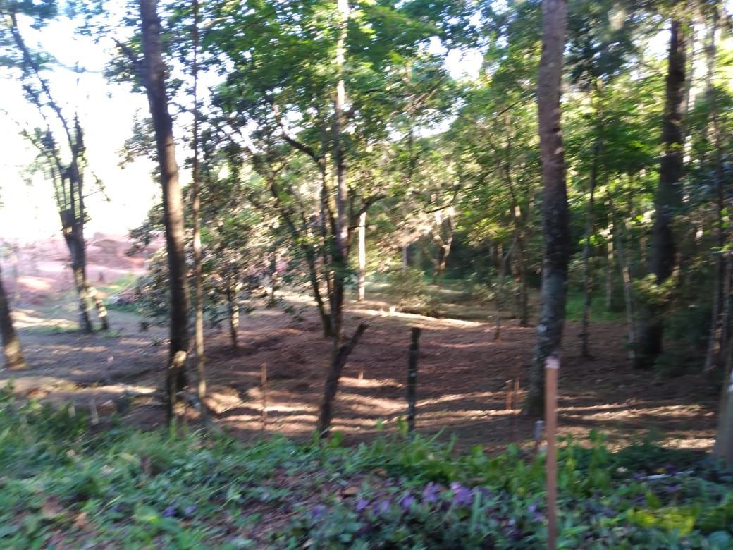 Terreno, 3800 m² - Foto 1