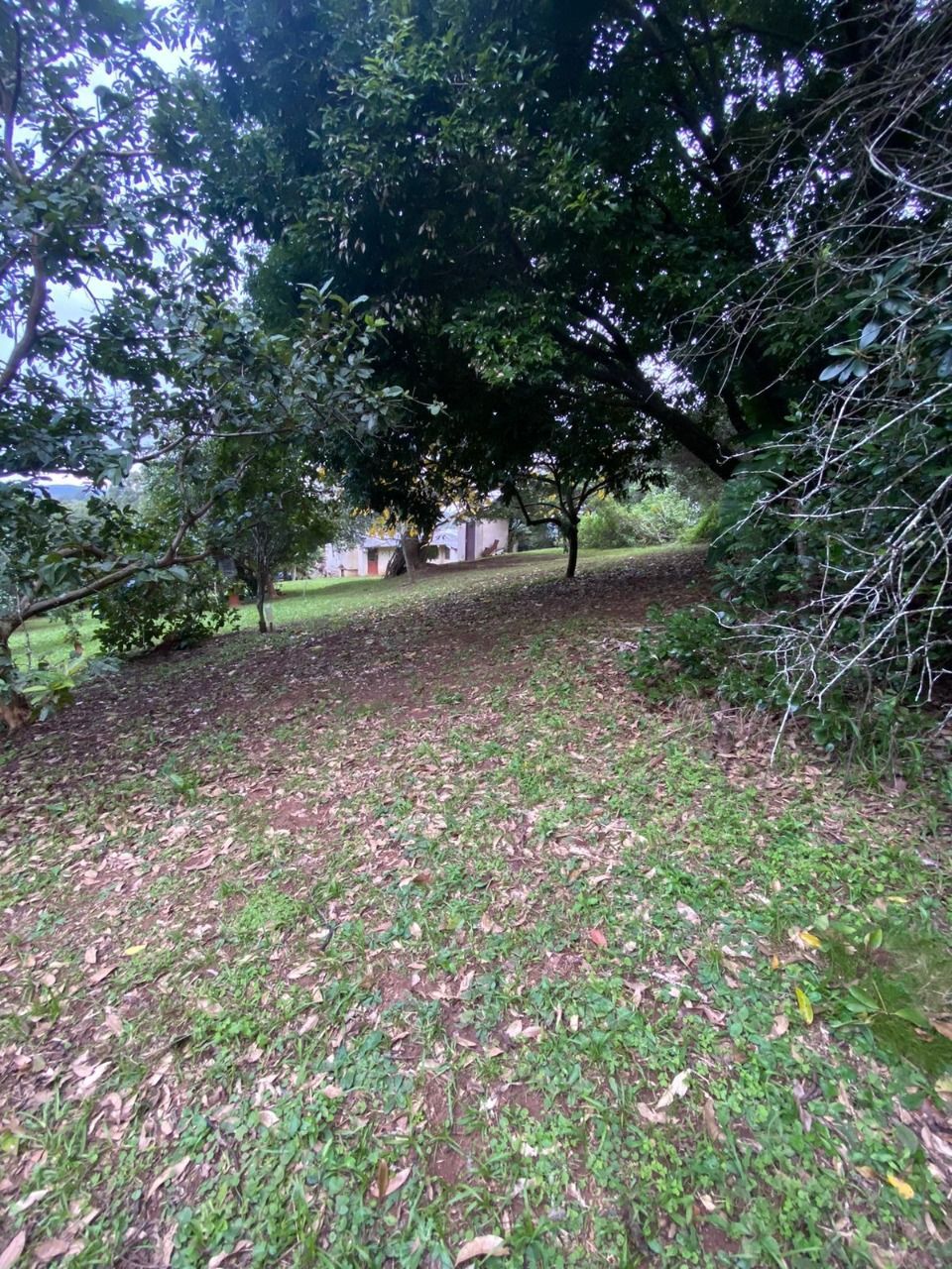 Terreno, 2381 m² - Foto 6