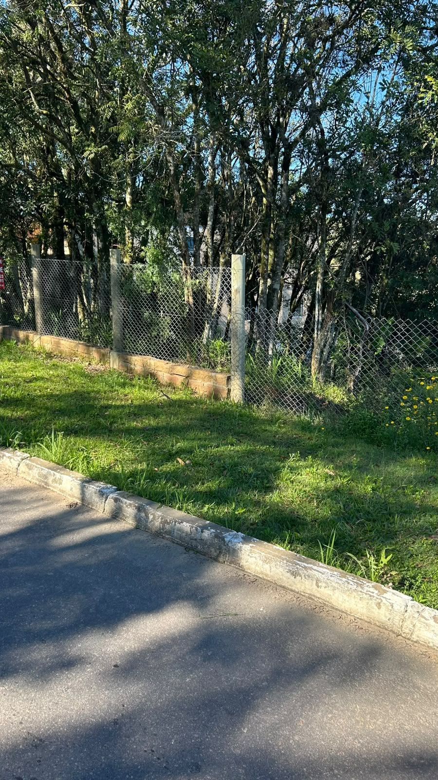 Terreno, à venda, Martinica - Viamão — foto 2