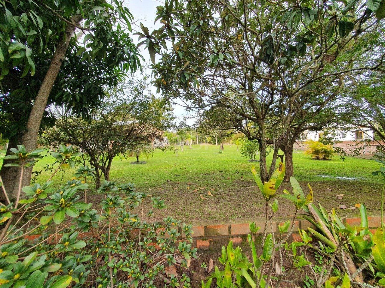 Chácara, 3 quartos, 1979 m² - Foto 59