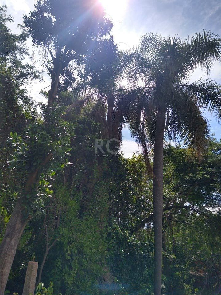 Casa, 3 quartos, 60 m² - Foto 19