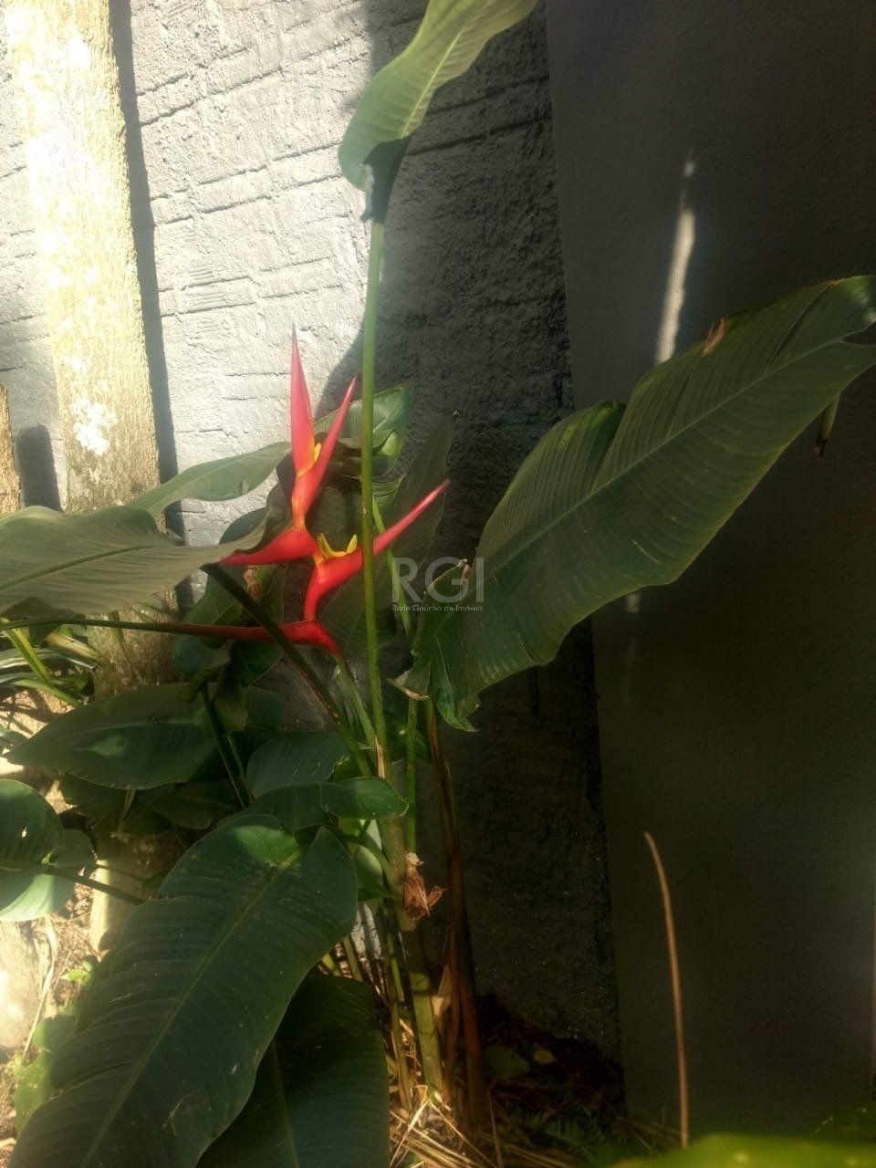 Terreno à venda, 1m² - Foto 11