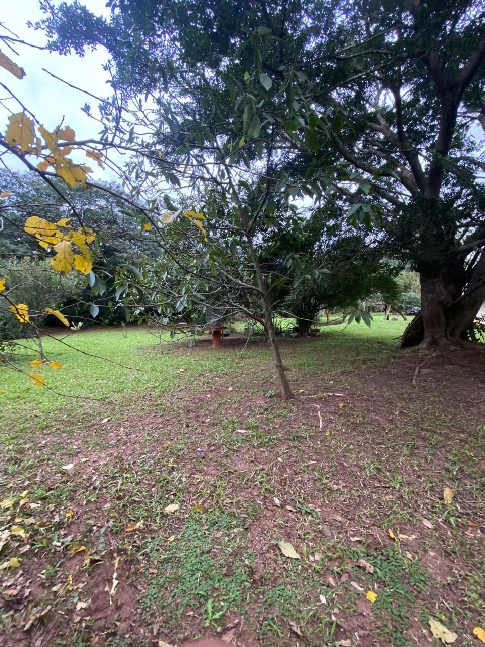 Terreno, 2381 m² - Foto 9