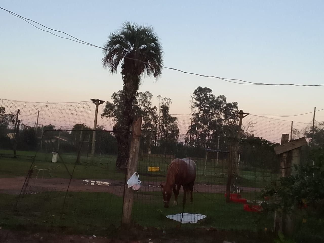 Sítio à venda com 5 quartos, 1500m² - Foto 14