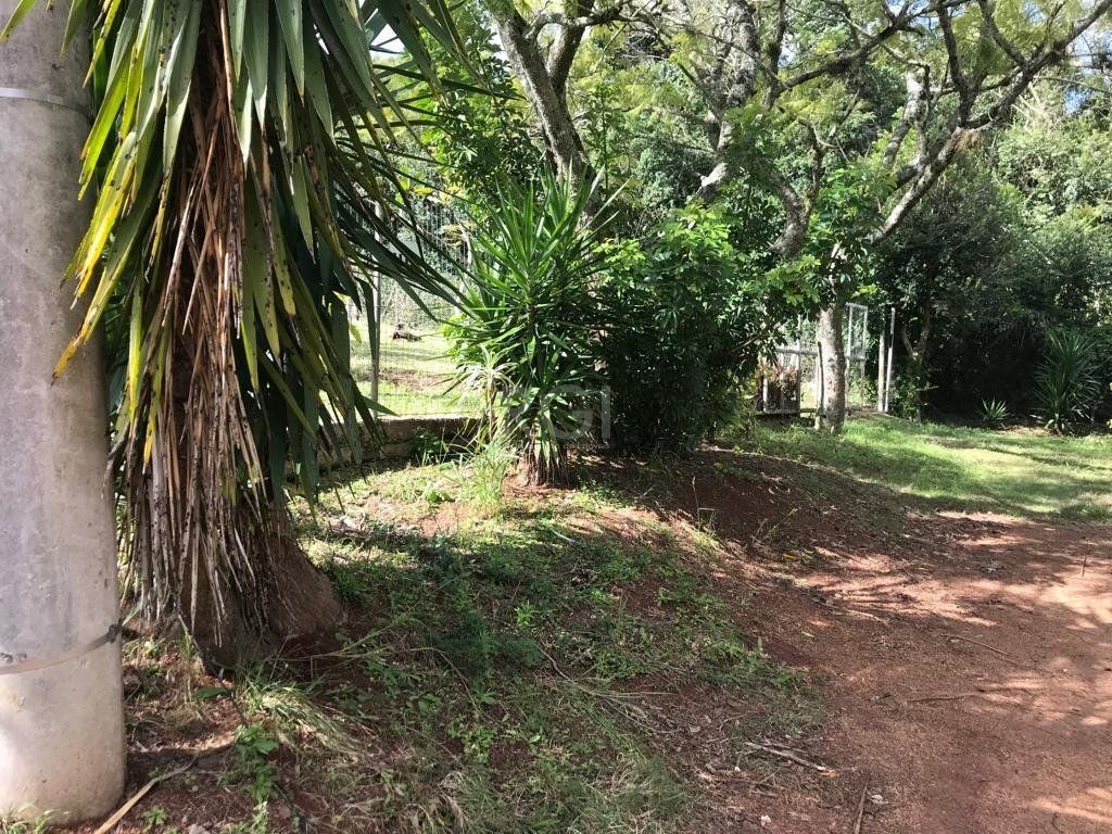 Terreno, 549 m² - Foto 15