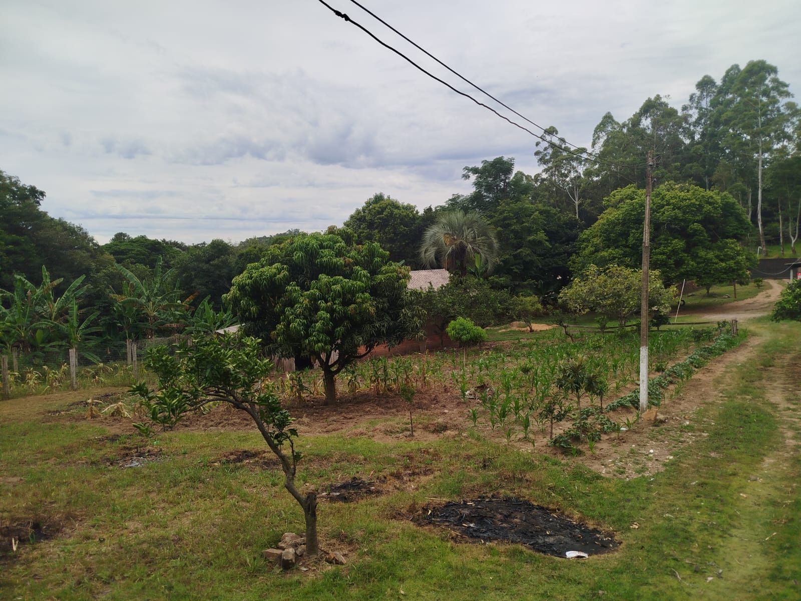 Fazenda à venda com 3 quartos - Foto 16