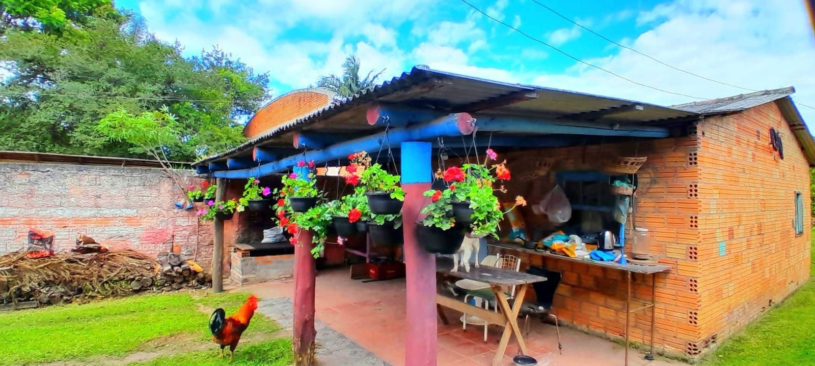 Terreno, 1499 m² - Foto 10