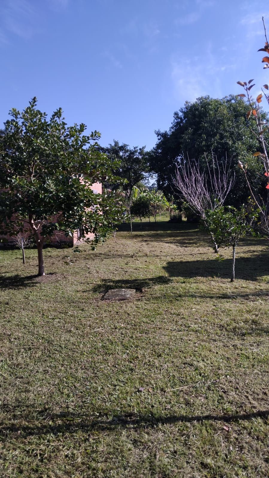 Terreno, 1499 m² - Foto 8