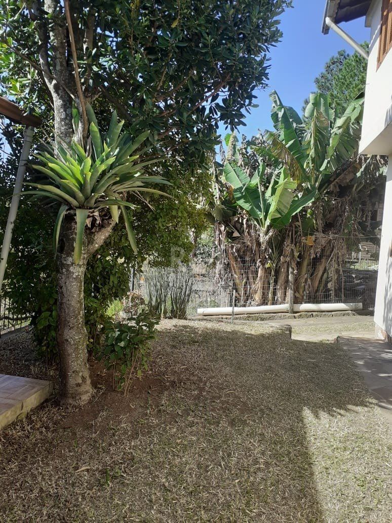 Casa, 5 quartos, 300 m² - Foto 33