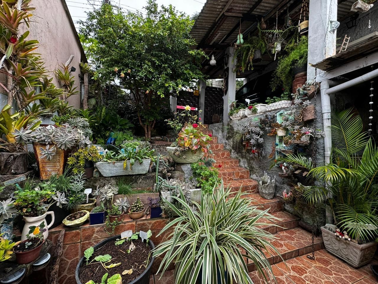 Casa à venda com 3 quartos, 110m² - Foto 17