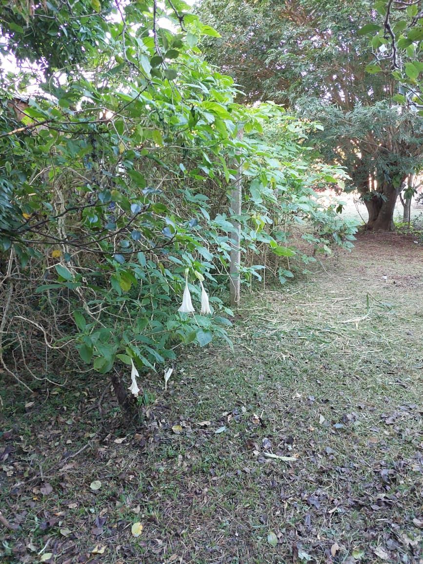 Terreno BELEM NOVO — foto 5