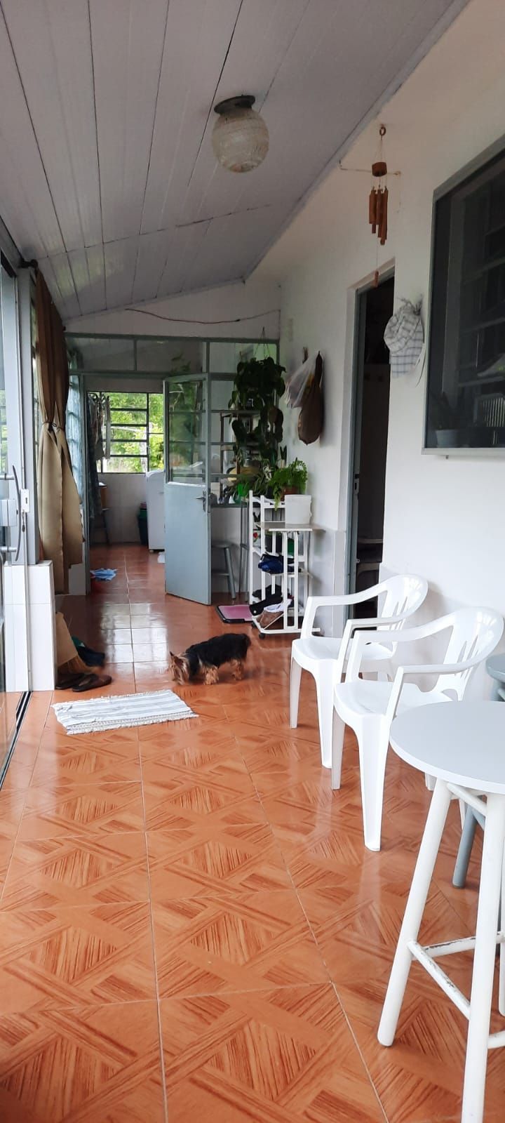 Sítio à venda com 3 quartos, 520m² - Foto 6