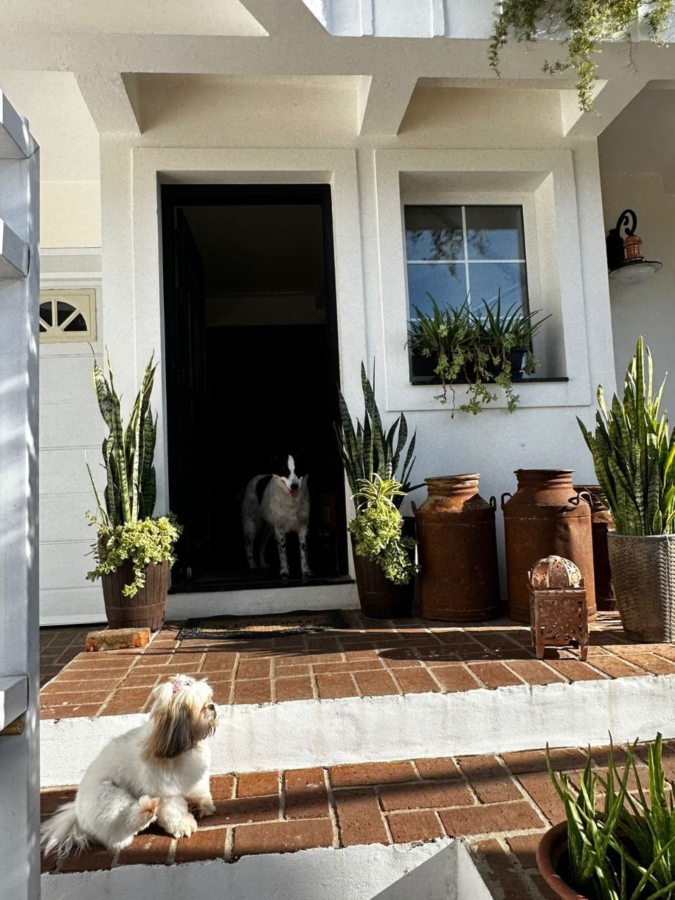 Casa, 3 quartos, 241 m² - Foto 15