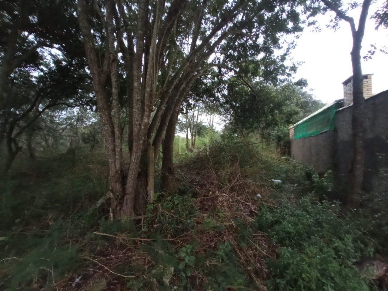 Terreno, 2160 m² - Foto 2