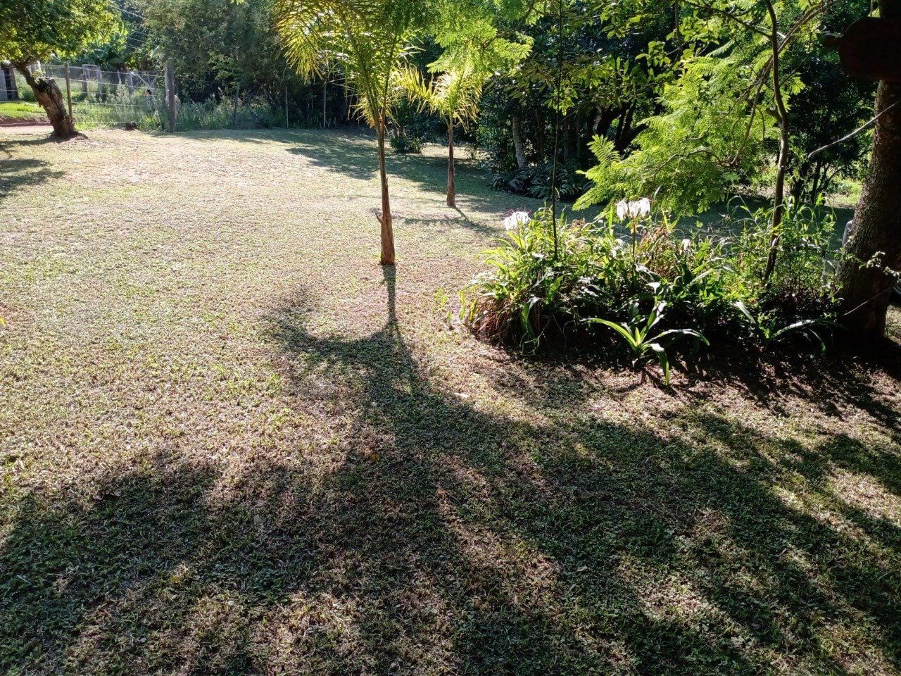 Sítio, 1 quarto, 6750 m² - Foto 6