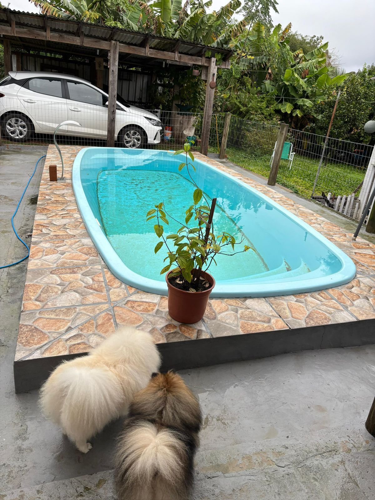 Sítio à venda com 4 quartos, 69m² - Foto 1