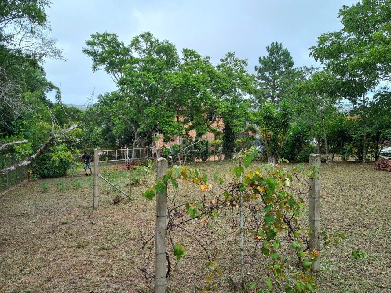 Terreno, 549 m² - Foto 8