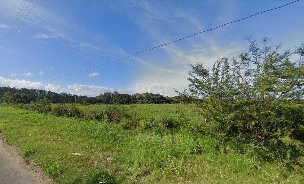 Terreno, 5 hectares - Foto 3