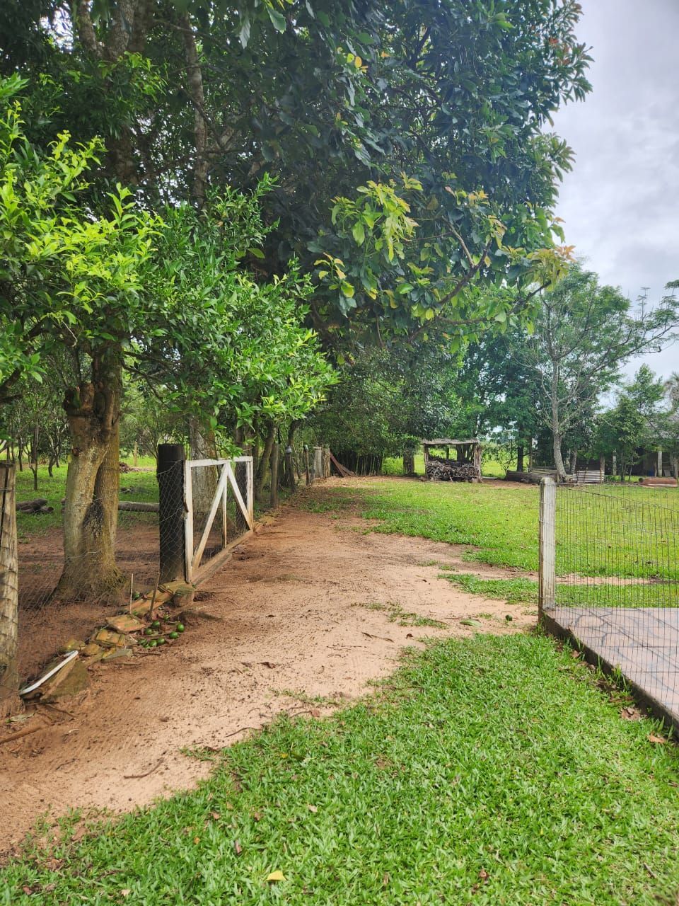 Sítio à venda com 3 quartos, 4000m² - Foto 15