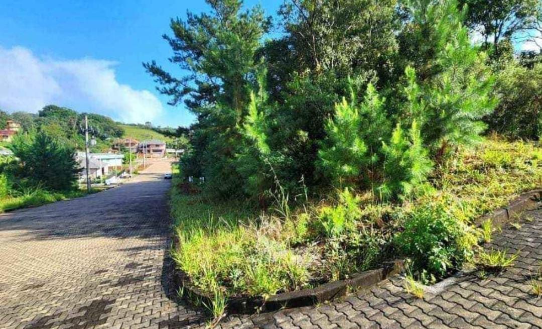 Terreno à venda, 449m² - Foto 2
