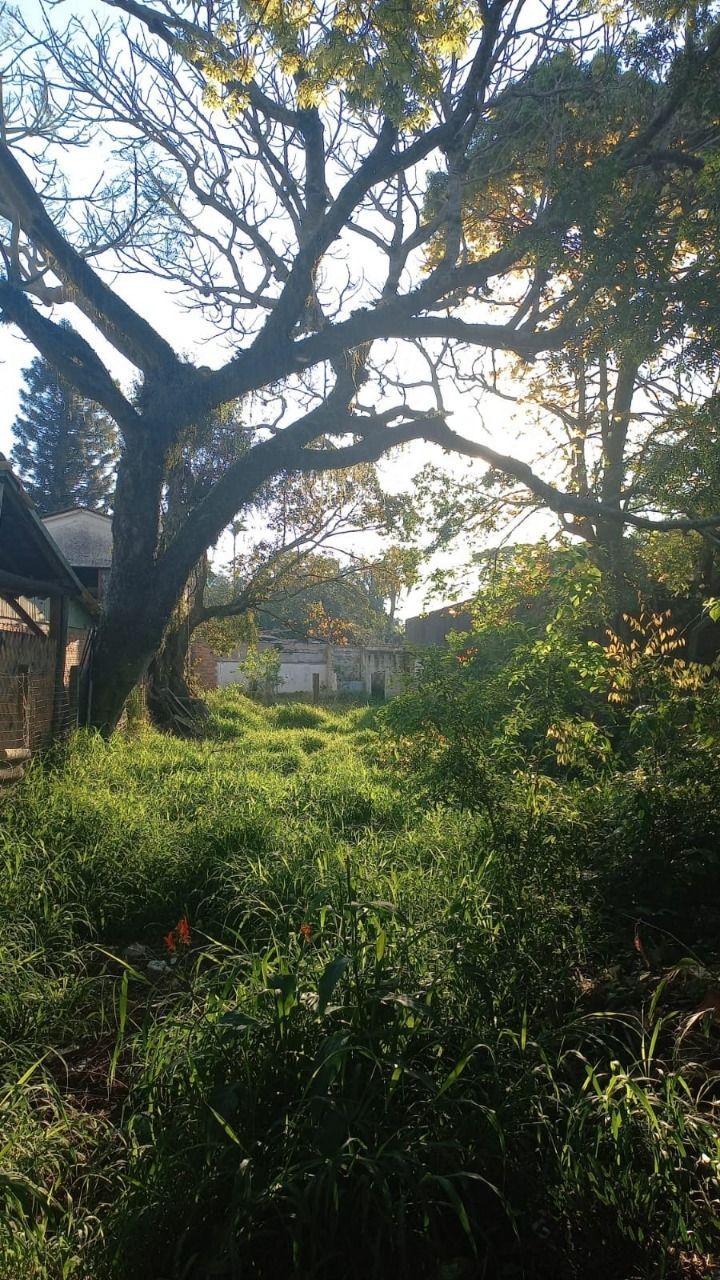 Terreno, 420 m² - Foto 2