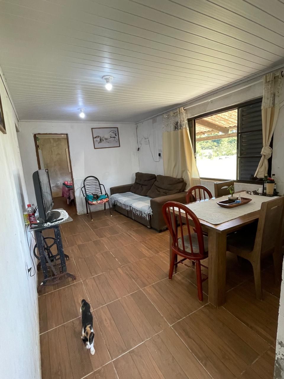 Sítio à venda com 4 quartos, 100m² - Foto 6