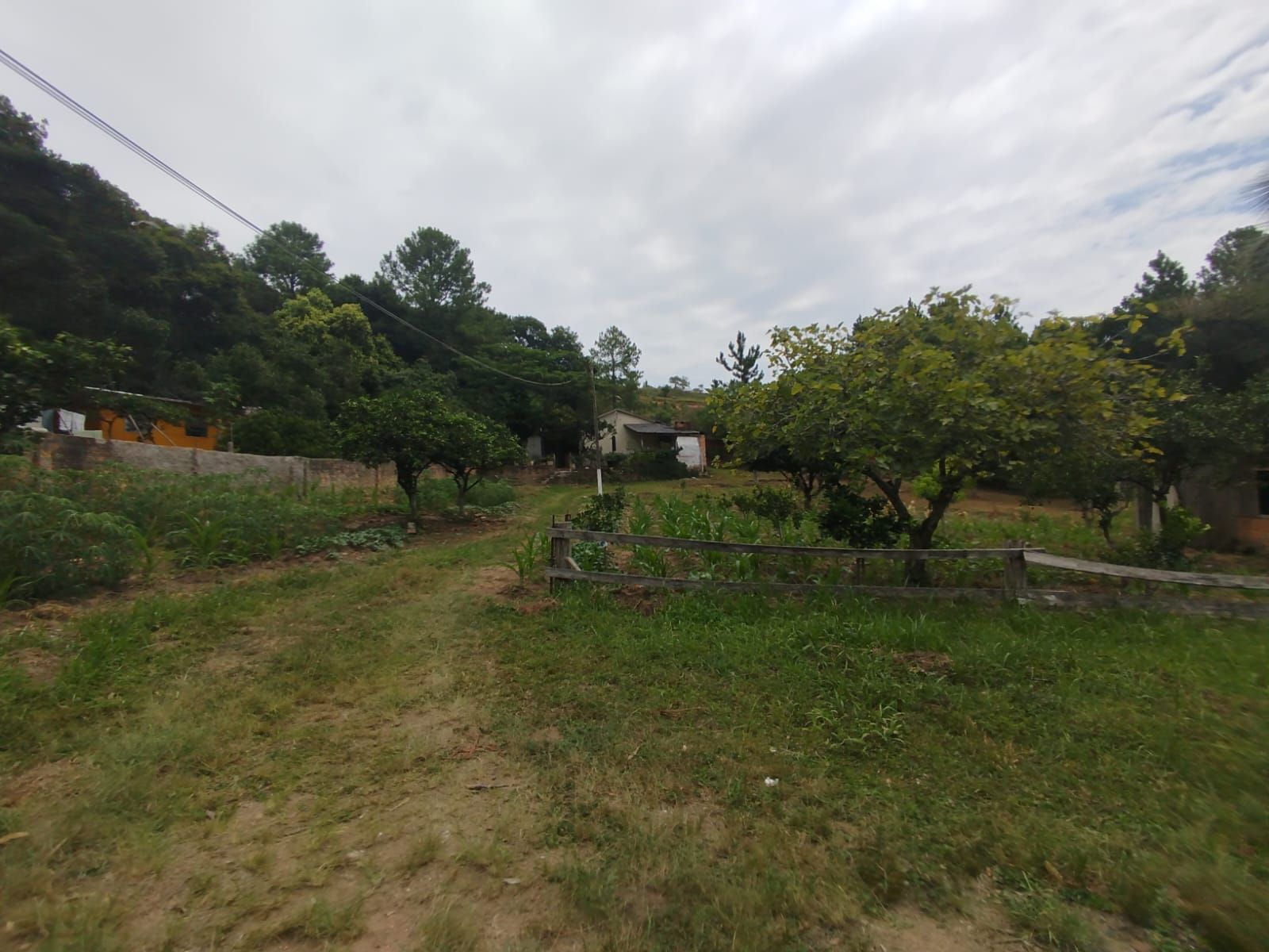 Chácara à venda com 3 quartos, 3853m² - Foto 4